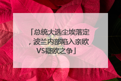 总统大选尘埃落定，波兰内部陷入亲欧VS疑欧之争