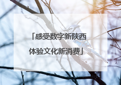 感受数字新陕西 体验文化新消费