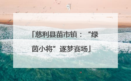 慈利县苗市镇：“绿茵小将”逐梦赛场