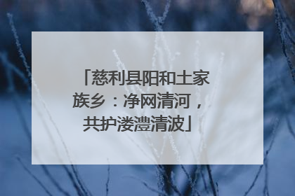 慈利县阳和土家族乡：净网清河，共护溇澧清波