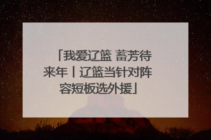 我爱辽篮 蓄芳待来年丨辽篮当针对阵容短板选外援