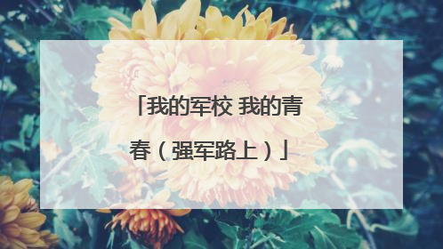 我的军校 我的青春（强军路上）
