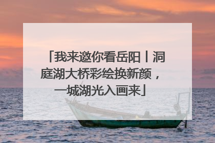 我来邀你看岳阳丨洞庭湖大桥彩绘换新颜，一城湖光入画来