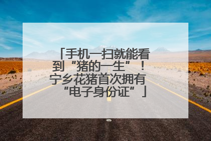 手机一扫就能看到“猪的一生”！宁乡花猪首次拥有“电子身份证”