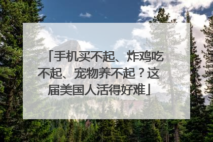 手机买不起、炸鸡吃不起、宠物养不起？这届美国人活得好难
