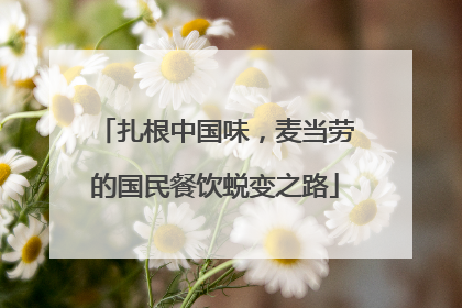 扎根中国味，麦当劳的国民餐饮蜕变之路