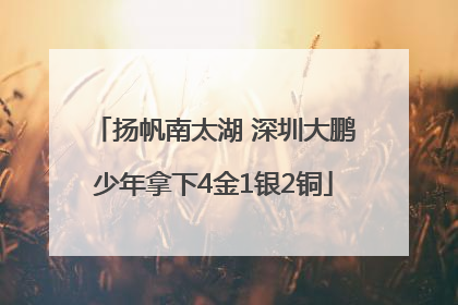 扬帆南太湖 深圳大鹏少年拿下4金1银2铜