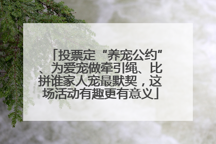 投票定“养宠公约”、为爱宠做牵引绳、比拼谁家人宠最默契，这场活动有趣更有意义