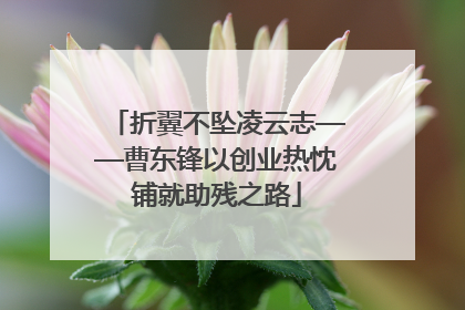 折翼不坠凌云志——曹东锋以创业热忱铺就助残之路