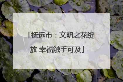 抚远市：文明之花绽放 幸福触手可及