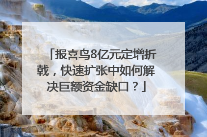 报喜鸟8亿元定增折戟，快速扩张中如何解决巨额资金缺口？