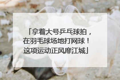 拿着大号乒乓球拍，在羽毛球场地打网球！这项运动正风靡江城