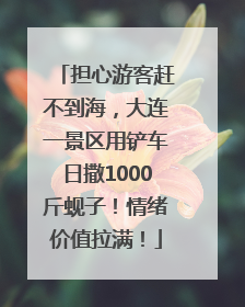 担心游客赶不到海，大连一景区用铲车日撒1000斤蚬子！情绪价值拉满！