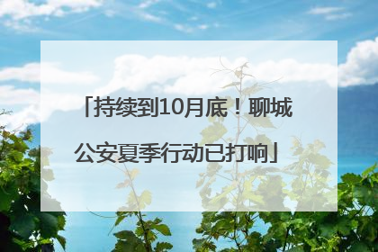 持续到10月底！聊城公安夏季行动已打响