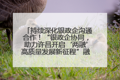 持续深化银政企沟通合作！“银政企协同，助力许昌开启‘两融’高质量发展新征程”融资对接会举行