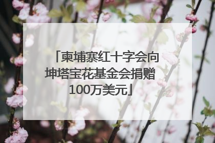 柬埔寨红十字会向坤塔宝花基金会捐赠100万美元