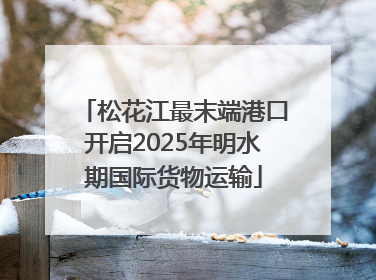 松花江最末端港口开启2025年明水期国际货物运输