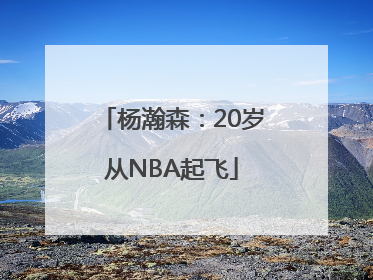 杨瀚森：20岁从NBA起飞