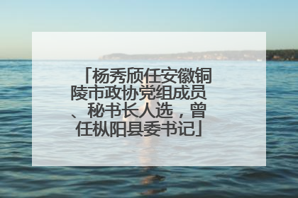 杨秀颀任安徽铜陵市政协党组成员、秘书长人选，曾任枞阳县委书记