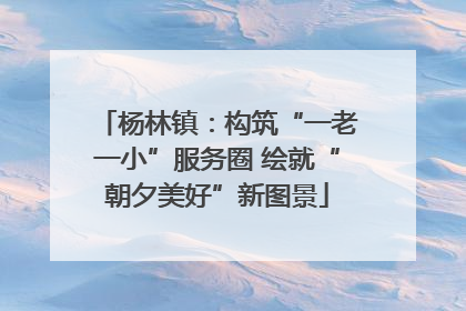 杨林镇：构筑“一老一小”服务圈 绘就“朝夕美好”新图景