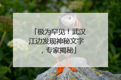 极为罕见！武汉江边发现神秘文字，专家揭秘
