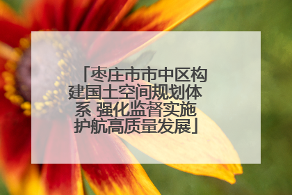 枣庄市市中区构建国土空间规划体系 强化监督实施护航高质量发展