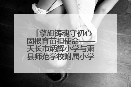 擎旗铸魂守初心 固根育苗担使命——天长市炳辉小学与萧县师范学校附属小学结对共建活动纪实