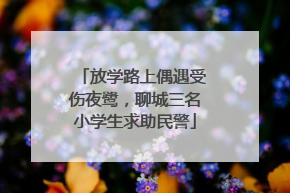 放学路上偶遇受伤夜鹭，聊城三名小学生求助民警