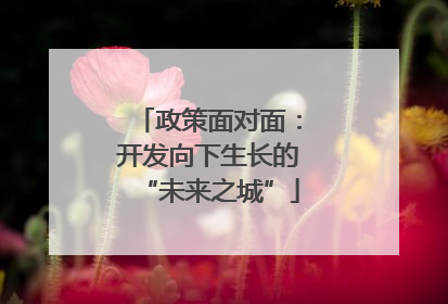 政策面对面：开发向下生长的“未来之城”