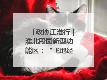 政协江淮行｜淮北段园新型功能区：“飞地经济”拔节生长