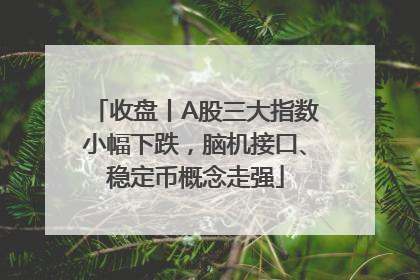 收盘丨A股三大指数小幅下跌，脑机接口、稳定币概念走强