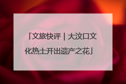 文旅快评｜大汶口文化热土开出遗产之花