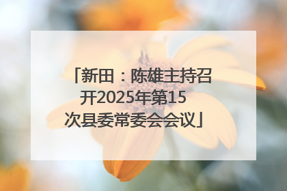 新田：陈雄主持召开2025年第15次县委常委会会议