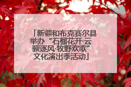 新疆和布克赛尔县举办“石榴花开·云骥逐风·牧野欢歌”文化演出季活动