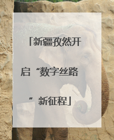 新疆孜然开启“数字丝路”新征程