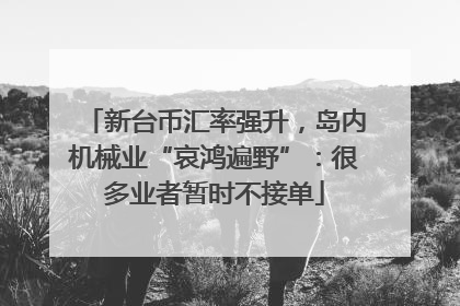 新台币汇率强升，岛内机械业“哀鸿遍野”：很多业者暂时不接单