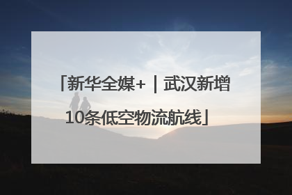 新华全媒+｜武汉新增10条低空物流航线