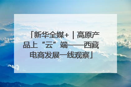新华全媒+｜高原产品上“云”端——西藏电商发展一线观察
