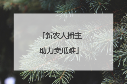 新农人播主 助力卖瓜难