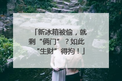新冰箱被偷，就剩“俩门”？如此“生财”得拘！