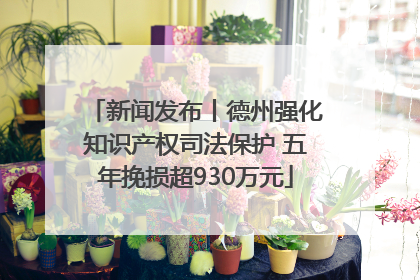 新闻发布丨德州强化知识产权司法保护 五年挽损超930万元