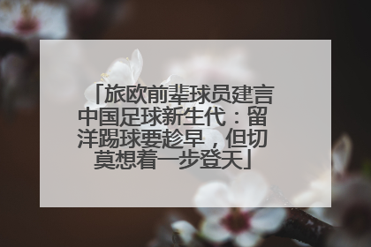 旅欧前辈球员建言中国足球新生代：留洋踢球要趁早，但切莫想着一步登天
