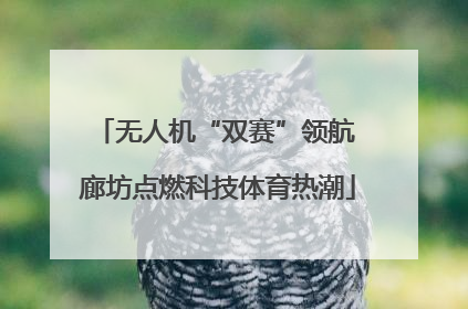 无人机“双赛”领航 廊坊点燃科技体育热潮