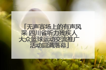 无声赛场上的有声风采 四川省听力残疾人大众篮球运动交流推广活动圆满落幕