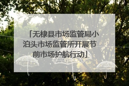 无棣县市场监管局小泊头市场监管所开展节前市场护航行动