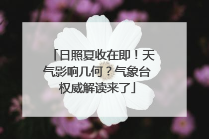 日照夏收在即！天气影响几何？气象台权威解读来了