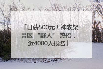 日薪500元！神农架景区 “野人” 热招，近4000人报名