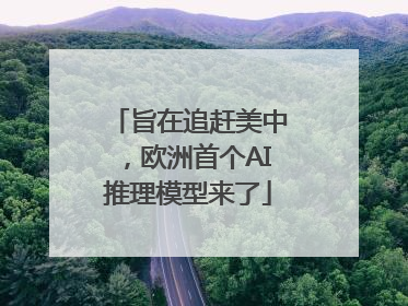 旨在追赶美中，欧洲首个AI推理模型来了