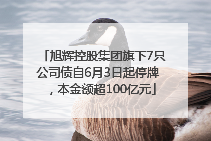 旭辉控股集团旗下7只公司债自6月3日起停牌，本金额超100亿元