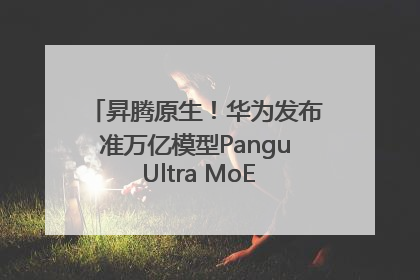 昇腾原生！华为发布准万亿模型Pangu Ultra MoE模型架构和训练细节